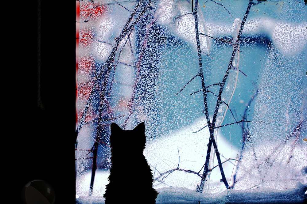 Весна, весна, ну где же ты застряла?...