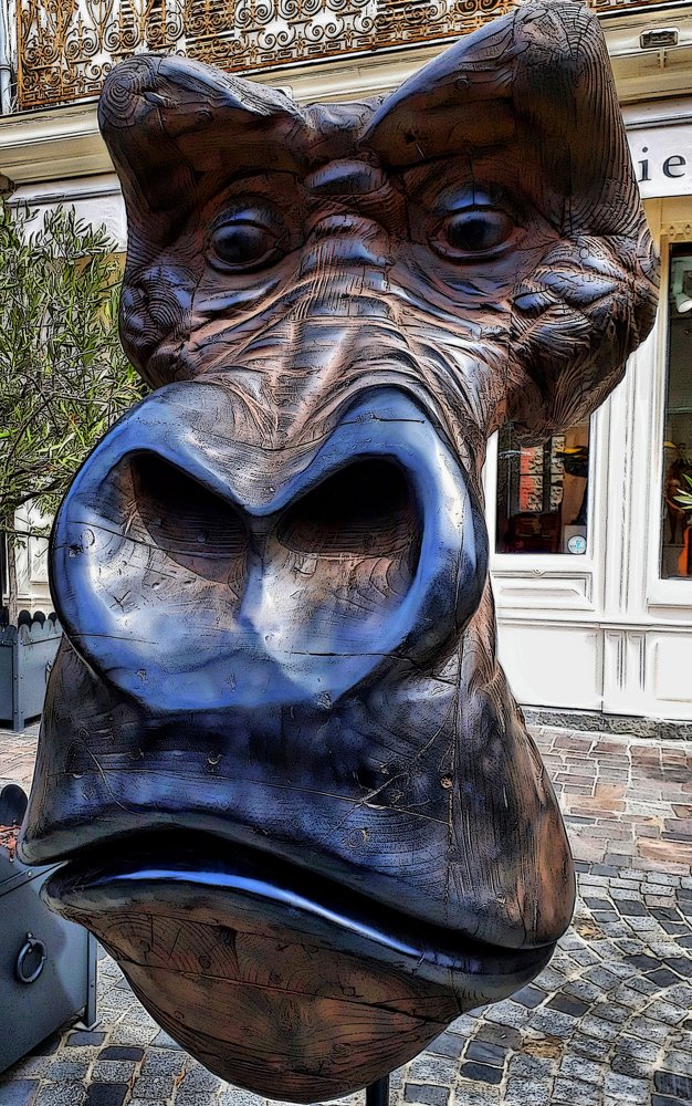 Photograph by Josep M. Bove Veciana