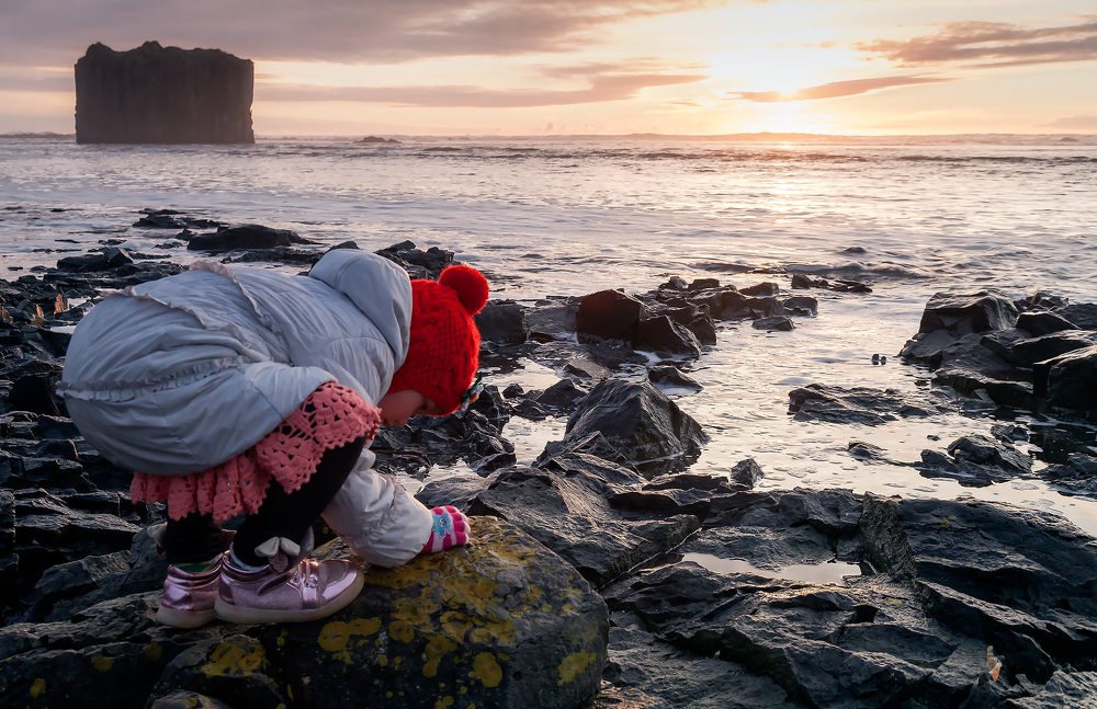 Фотография автора Дмитрий Уткин