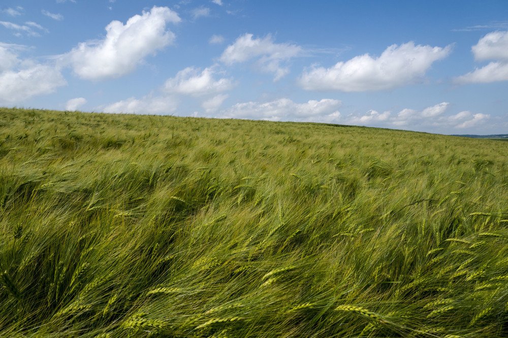 Photograph by Олесь