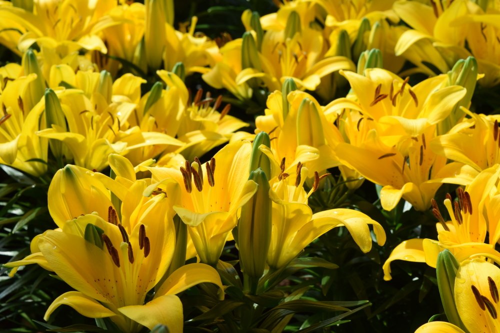 Photograph by Сергей Подлевский