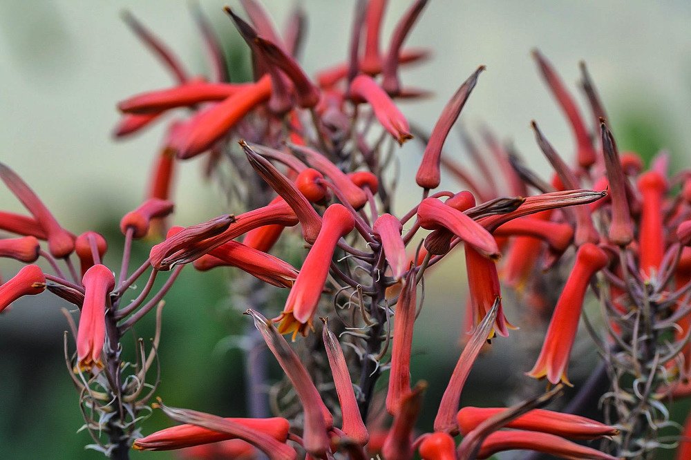 Photograph by Елена Боржковская