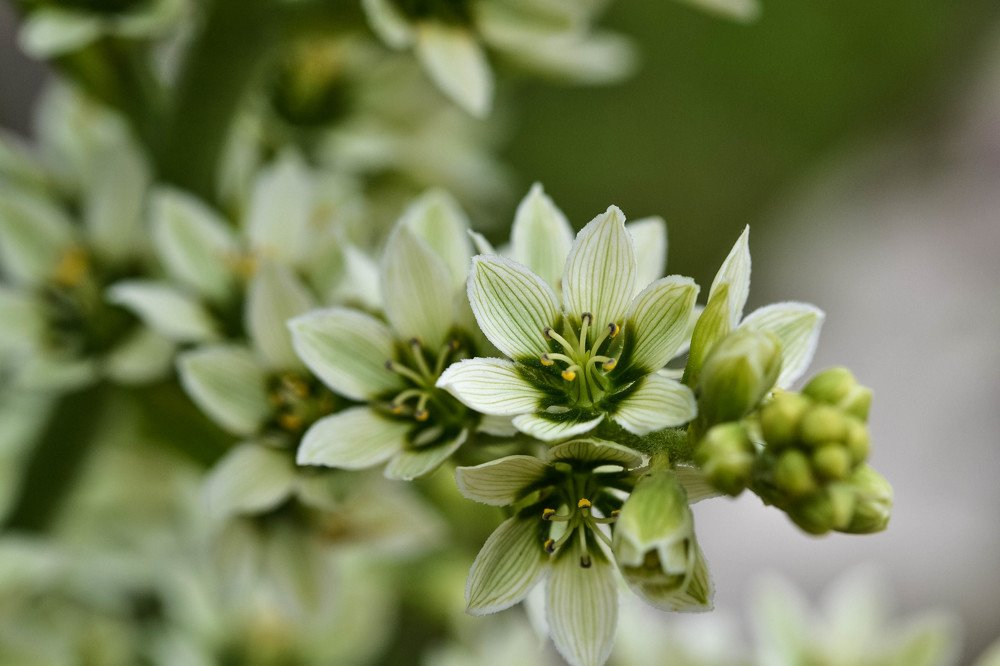 Photograph by Елена Боржковская