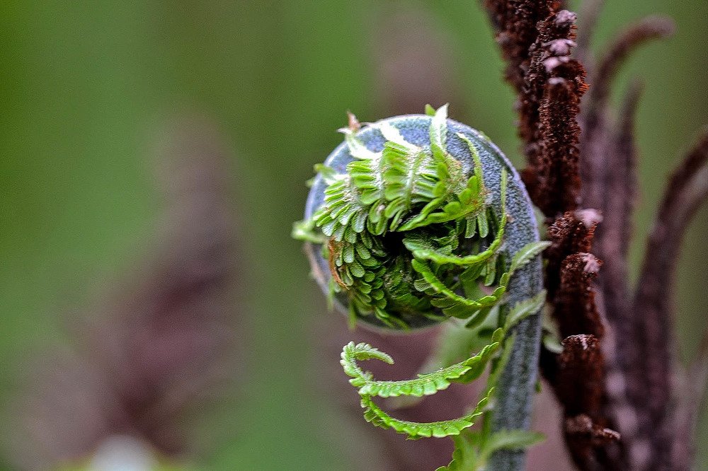 Photograph by Елена Боржковская