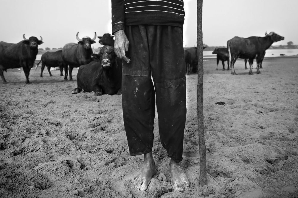 Photograph by milad hamadi