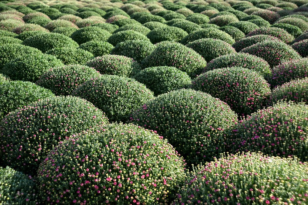 ЗАТЕРЯННЫЙ МИР