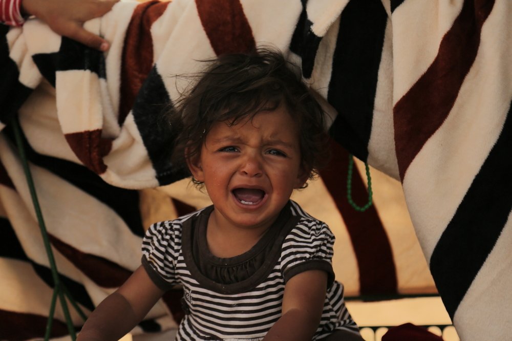 Photograph by milad hamadi