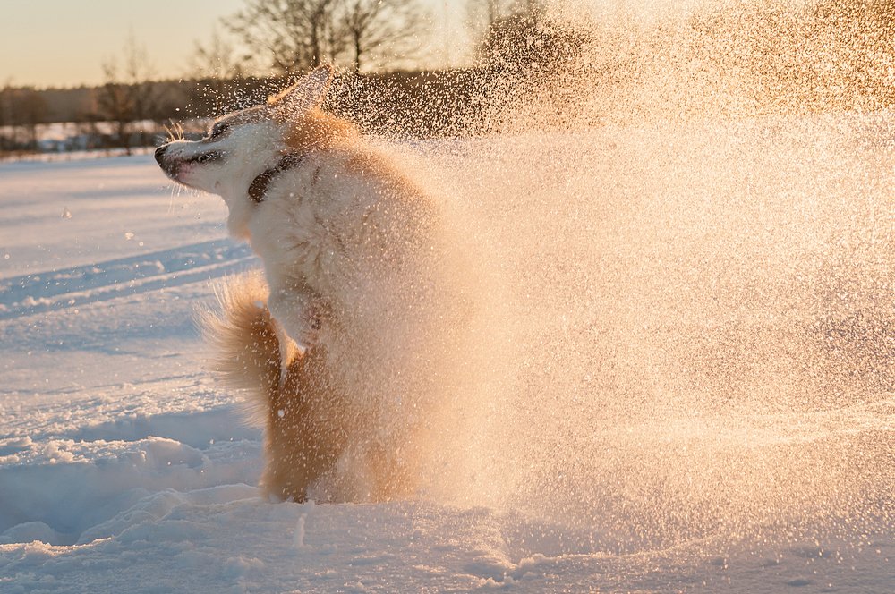 Фотография автора Yakovlev Artur