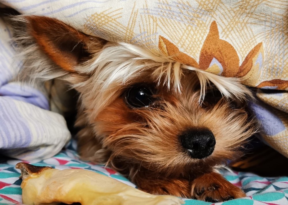 Photograph by Алексей Зелянин