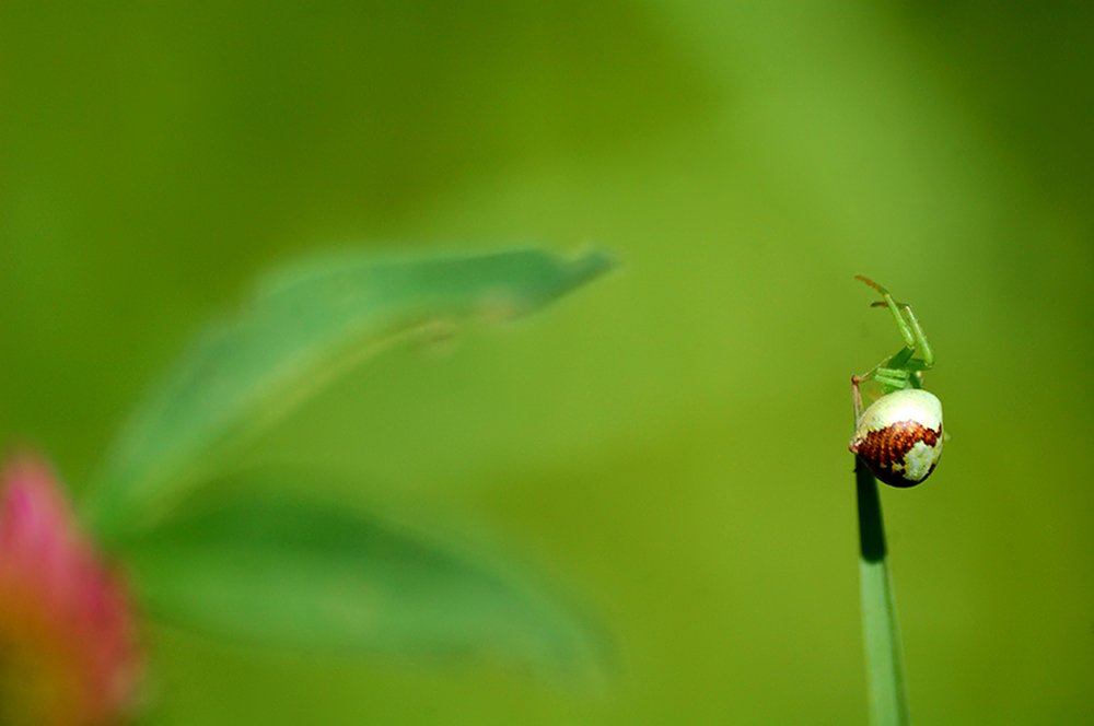 Photograph by Анатолий Погорелов