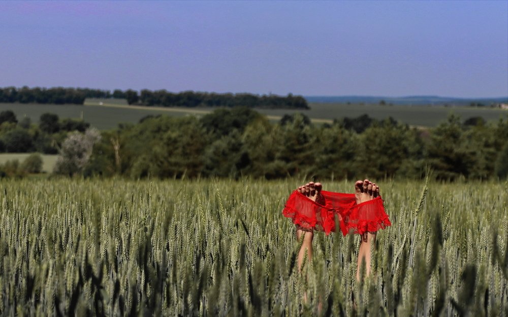 Любовь умеет ждать