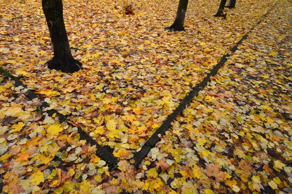 Photograph by Николай Кувшинов