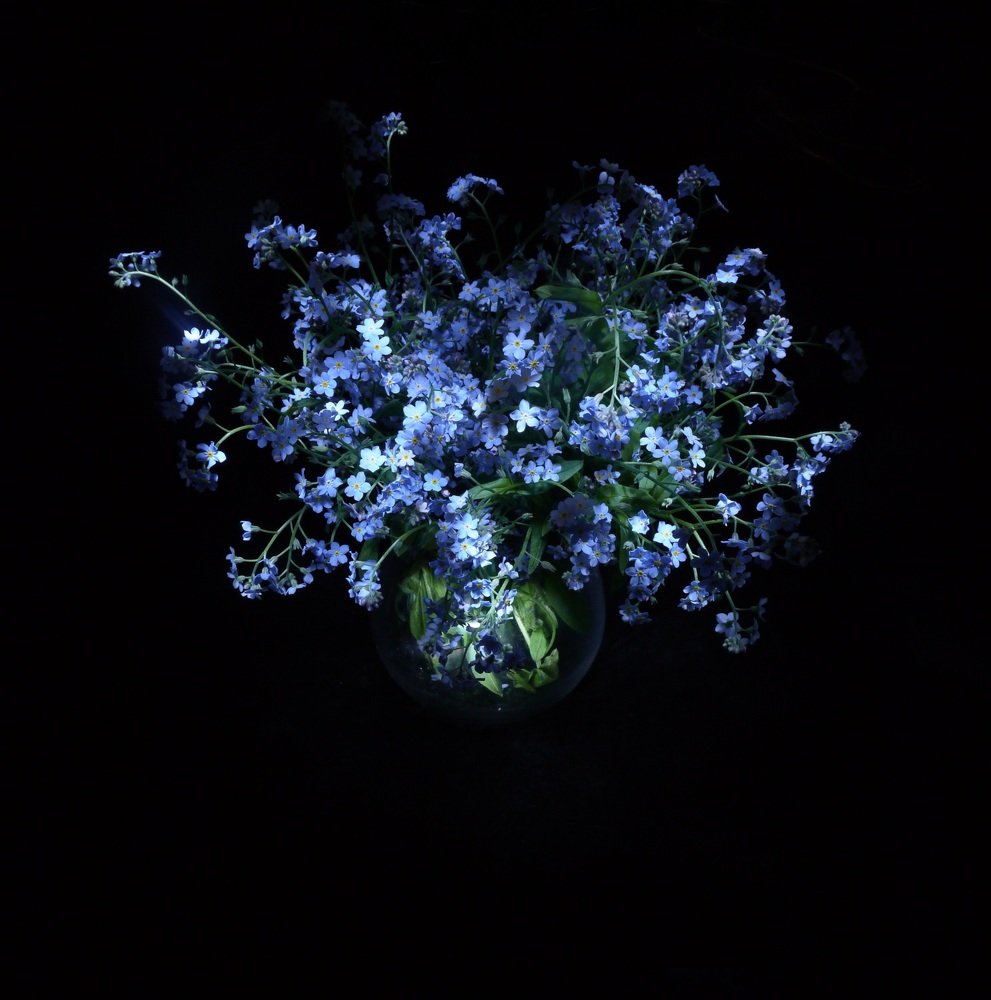 Photograph by Анастасия Егорова