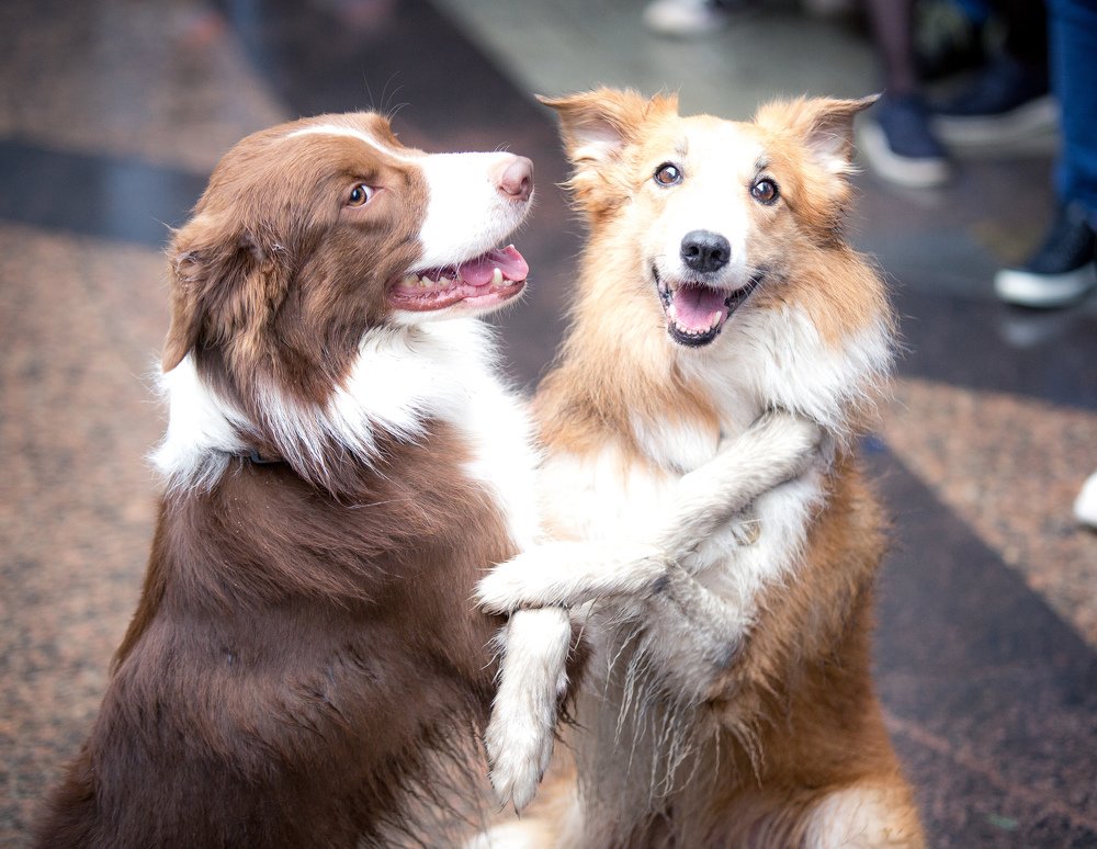 Photograph by Александр Ермоленко