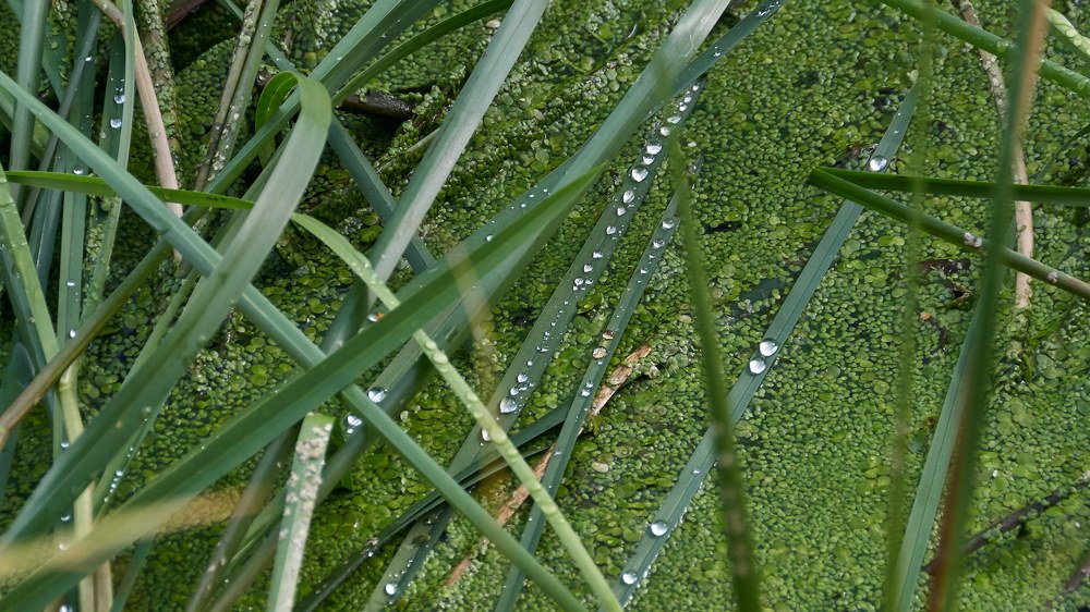 Photograph by Алексей Приешкин