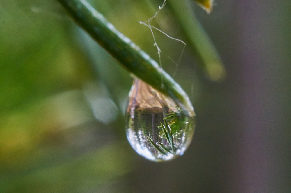 Photograph by Алексей Приешкин