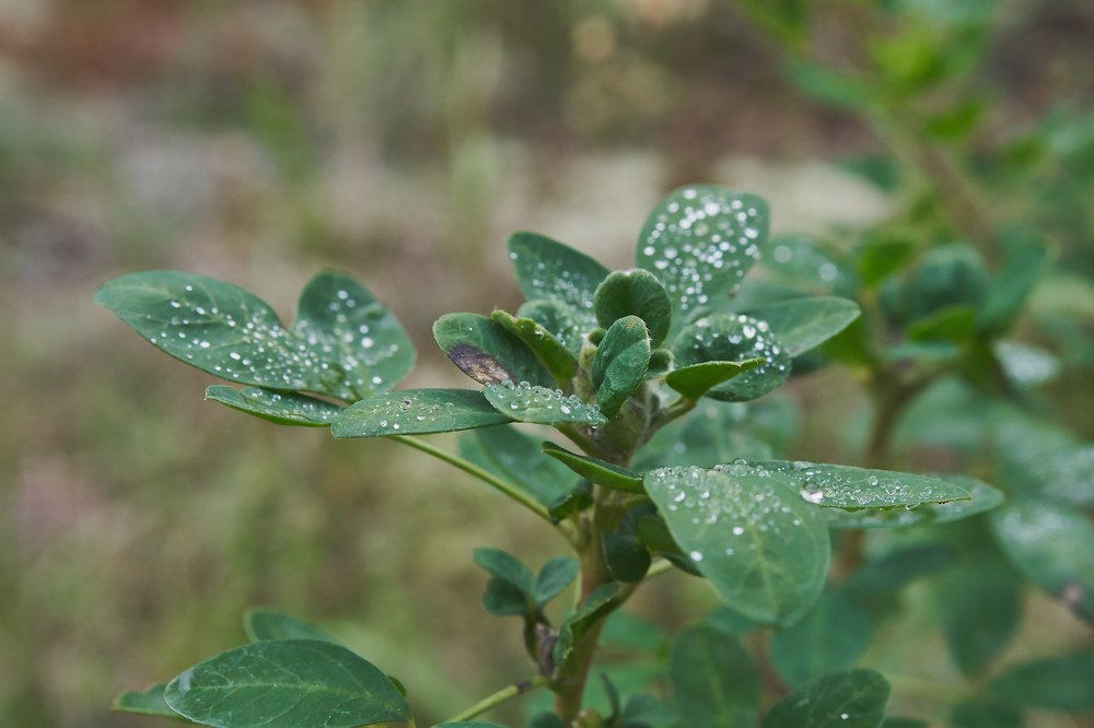 Photograph by Алексей Приешкин