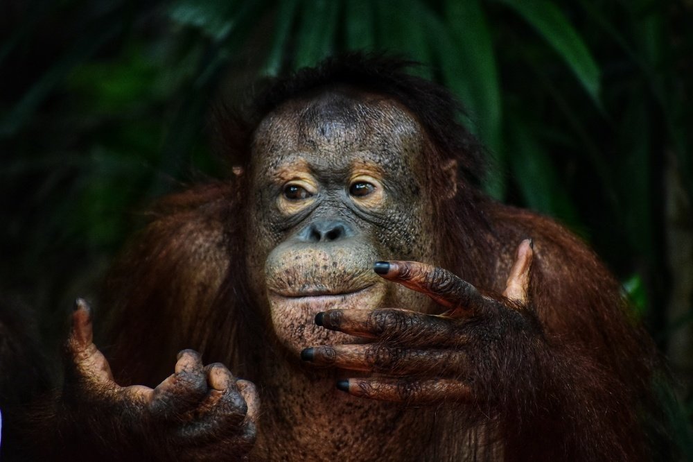 Photograph by Kshitij Verma