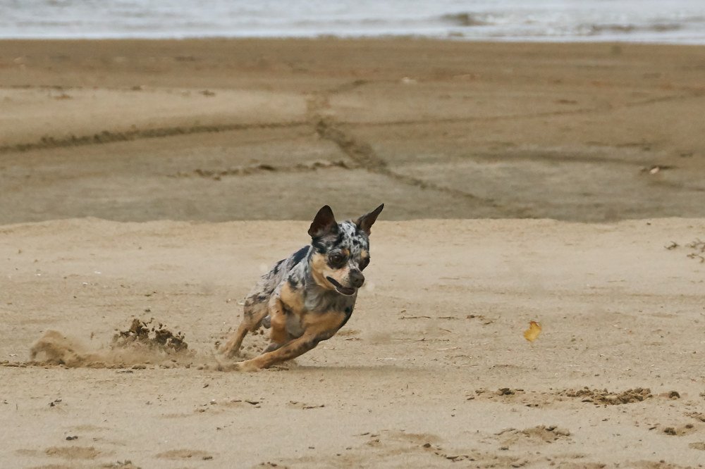 Photograph by Алексей Приешкин