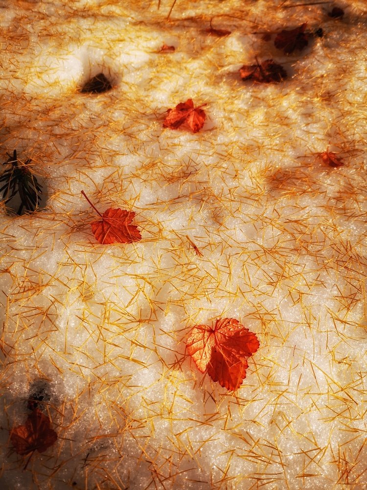 Photograph by Денис Саперов