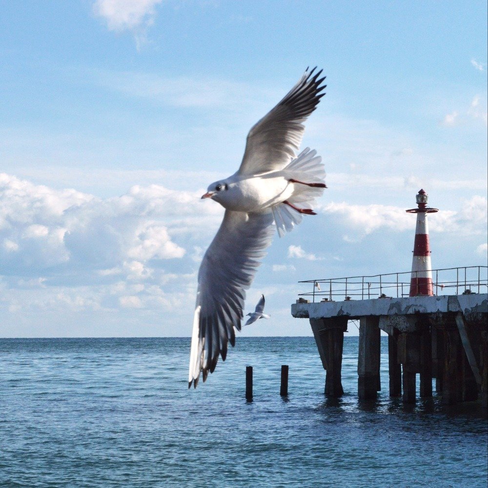 Photograph by Ольга Сизонюк