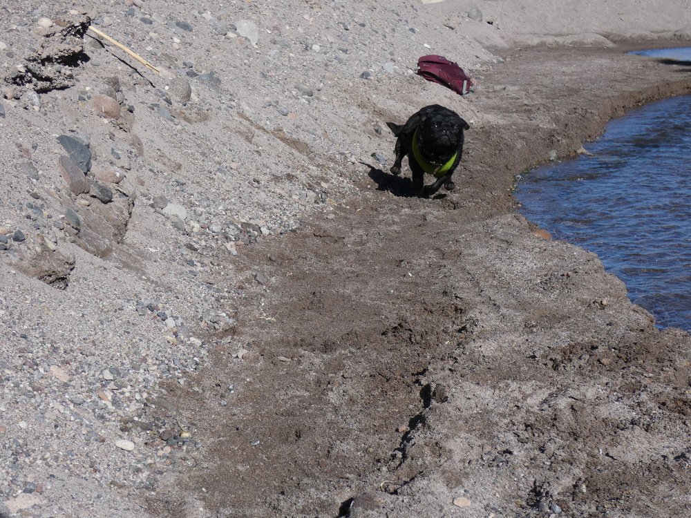 Photograph by Johana Alejandra Arboleda Abad