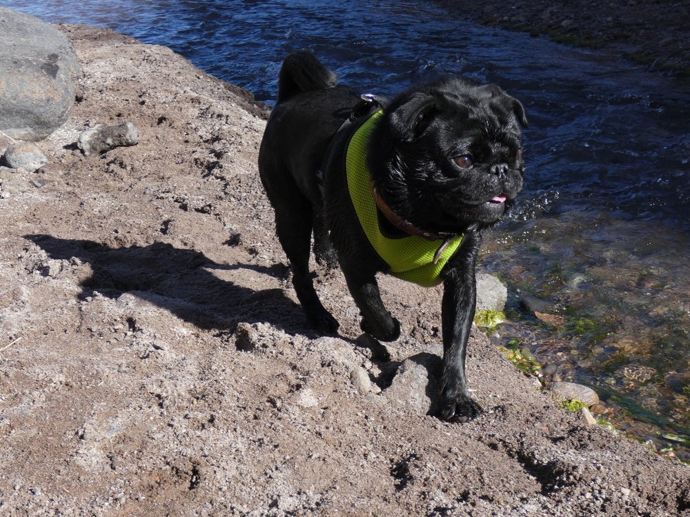 Photograph by Johana Alejandra Arboleda Abad