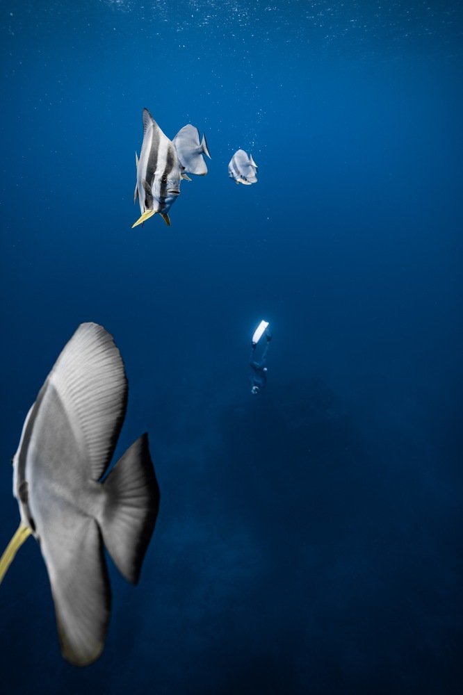 Photograph by Wei Chih Wang