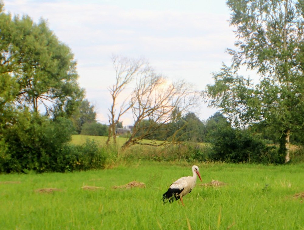 Photograph by Леся Дмітрук