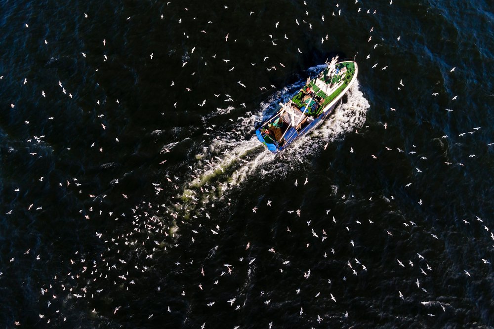 Photograph by Александр Абросимов