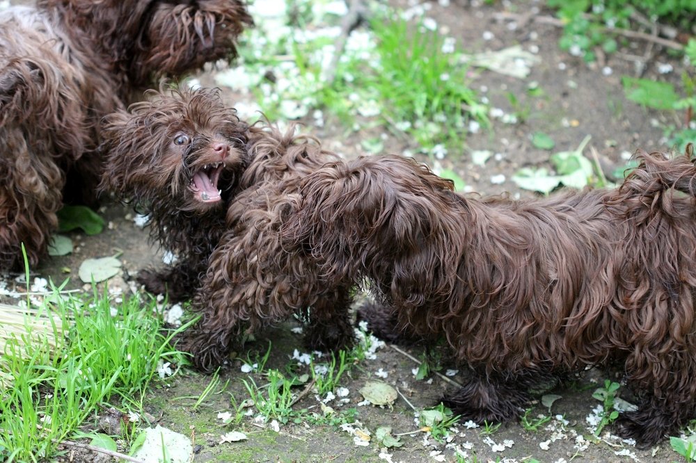 Photograph by Марина Кудрявцева