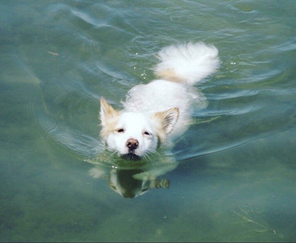 Photograph by Itır Sunalp