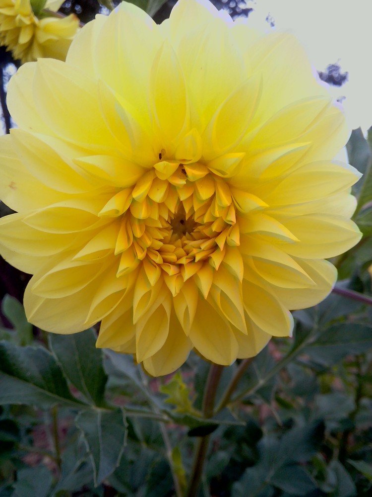 Photograph by псотик владимир