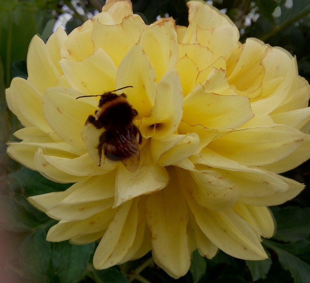 Photograph by псотик владимир