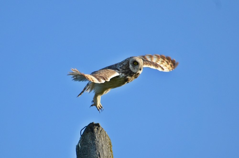 Photograph by Галина Катанова