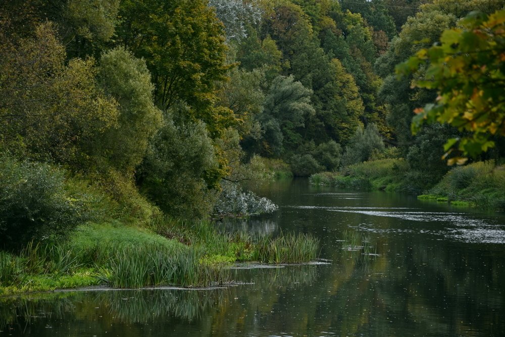 Photograph by Ирина Алексеева