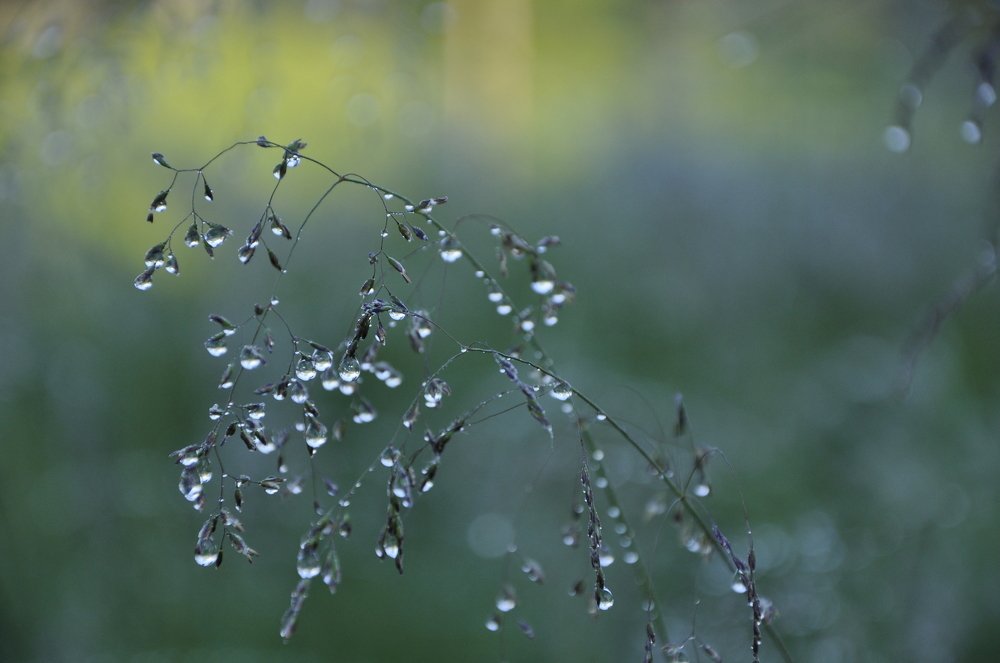Photograph by Ольга Струкалина