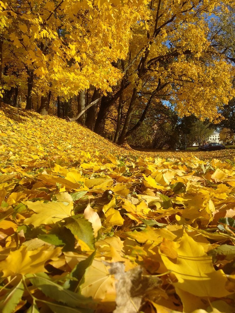 Photograph by Tatjana Doronda