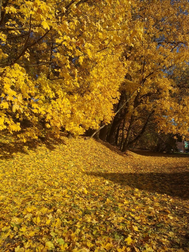 Photograph by Tatjana Doronda