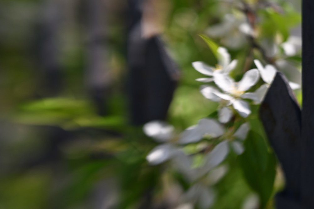 Photograph by Tatyana