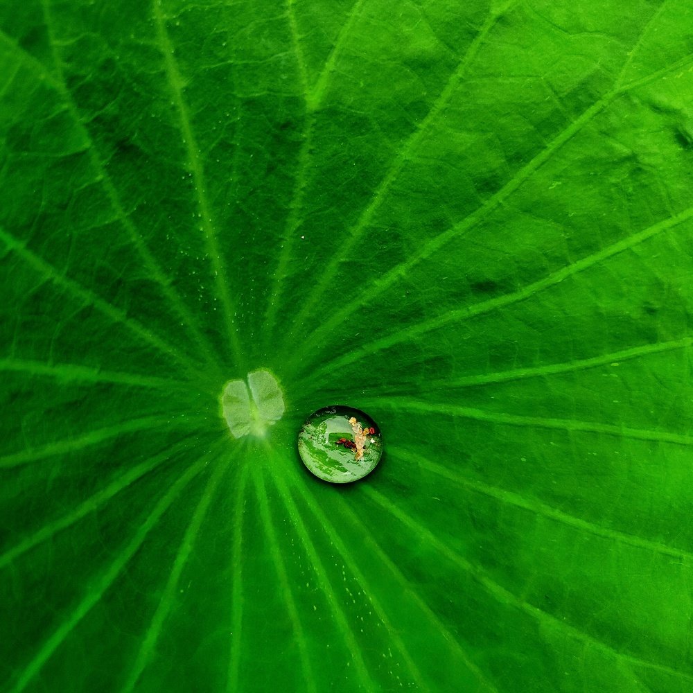 Photograph by Senthil Balraj