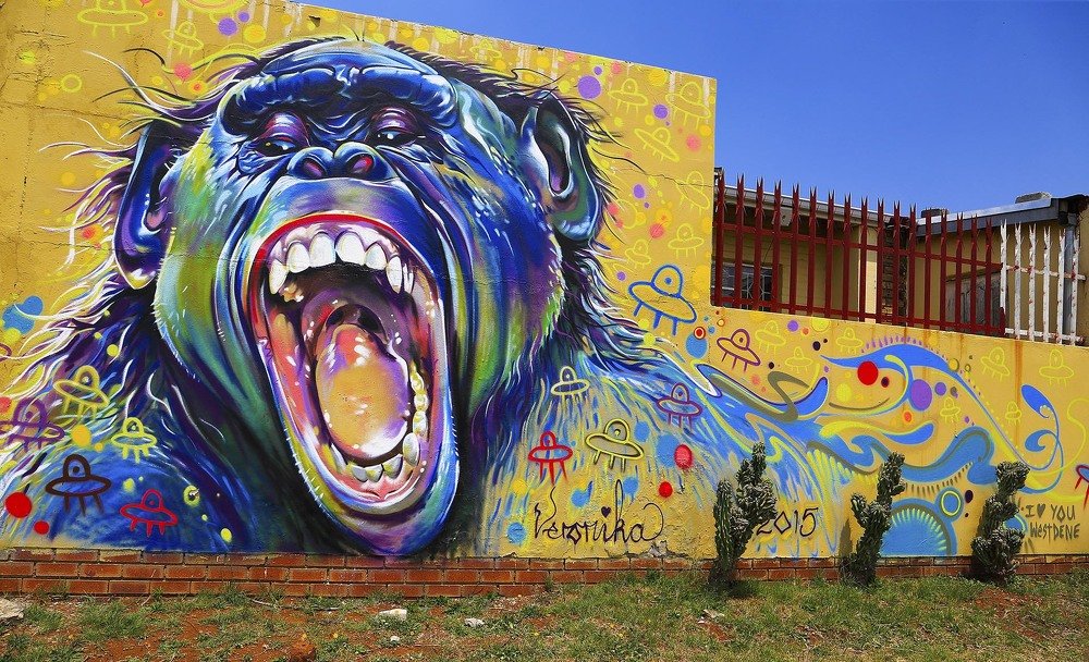 Photograph by Theo Landman