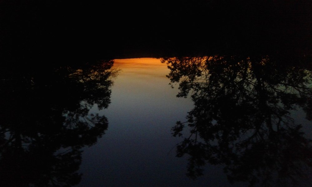 Photo #3634229
