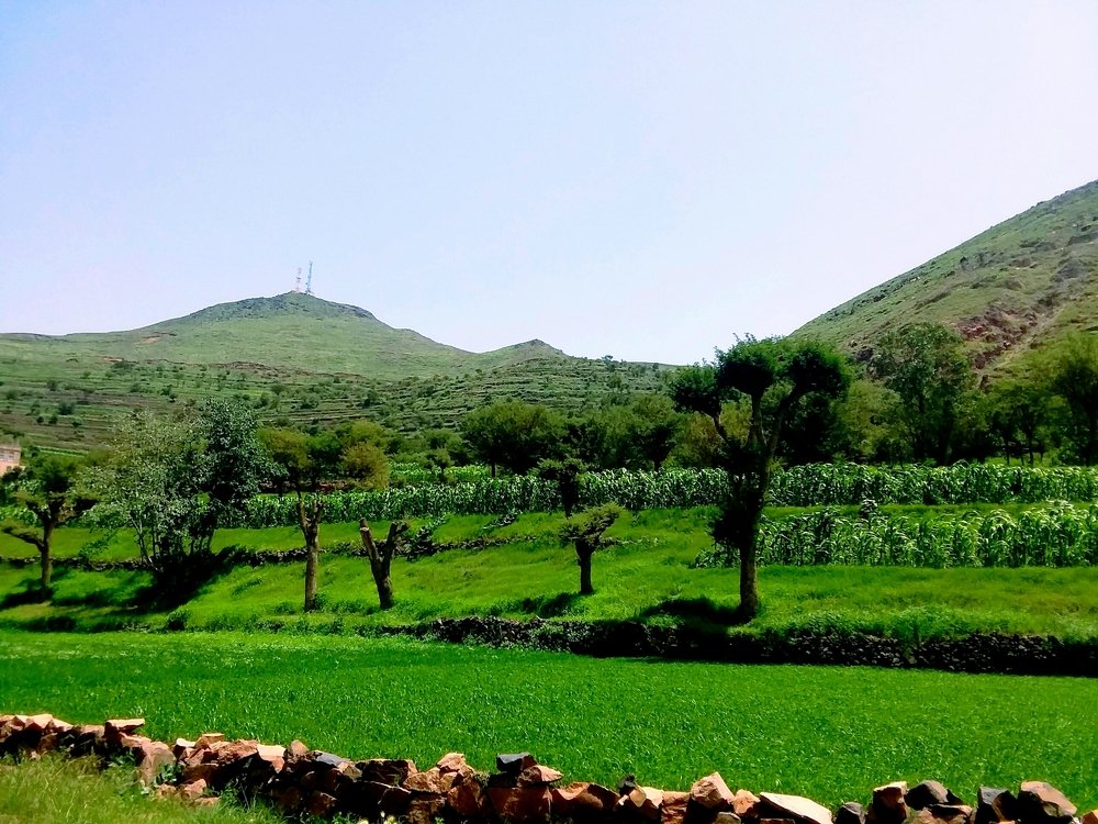 Photograph by BASSAM ALI ALBAADANI