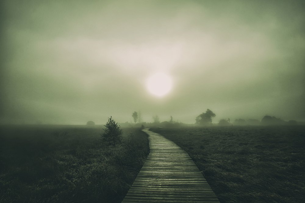 Photograph by Jerry de Stexhe