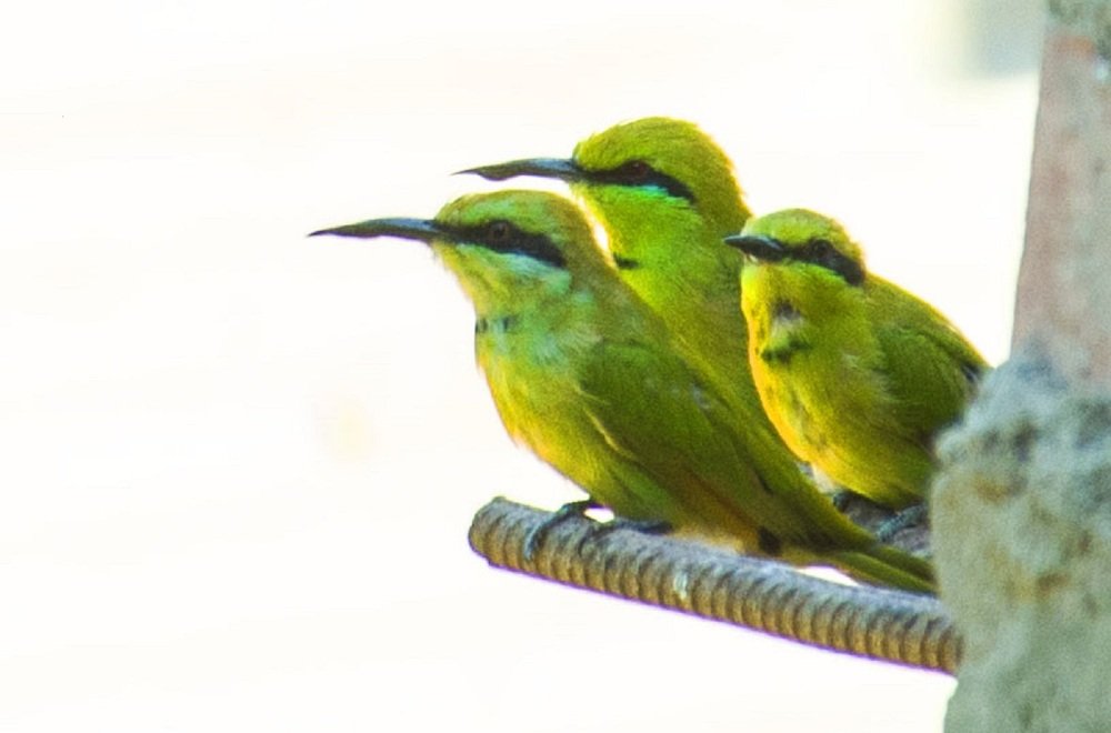 Photograph by islam elsayed eldaramlly