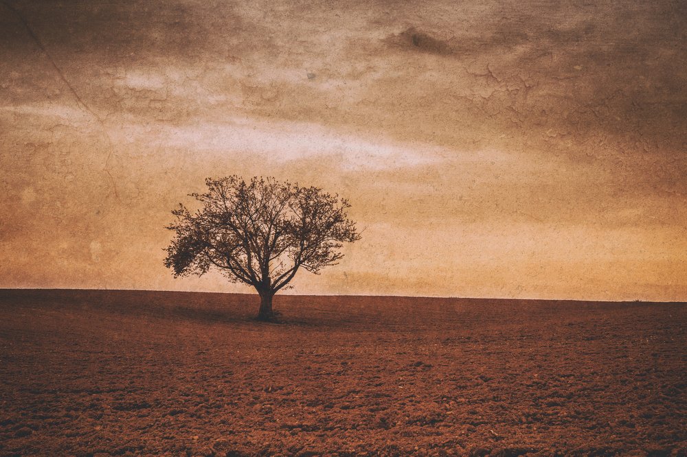 Photograph by Jerry de Stexhe