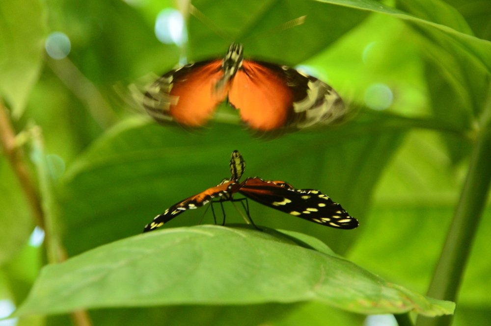 Photograph by Galina Baranovskaja