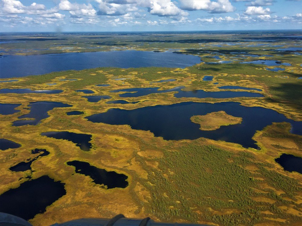 Photograph by Альфия Гумовская