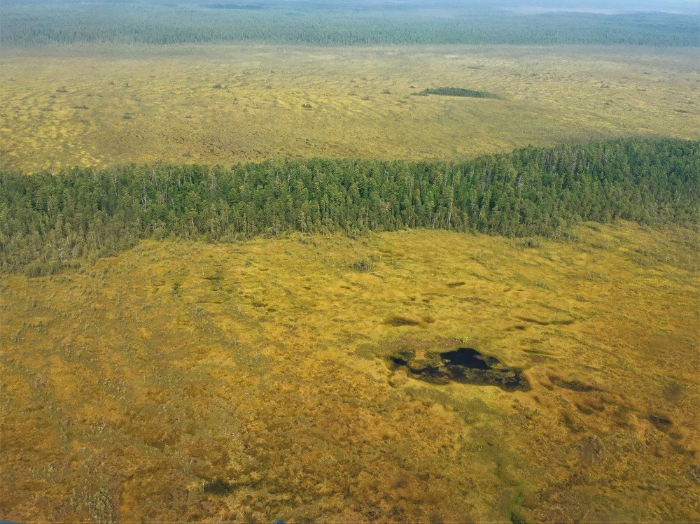 Photograph by Альфия Гумовская